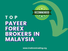 Payeer Forex Brokers Best Payeer Forex Brokers In Malaysia GIF