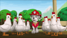 Paw Patrol Chicken GIF - Paw Patrol Chicken Help GIFs