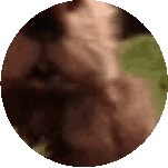 a blurred image of a person 's face in a circle .