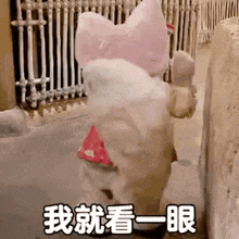 a dog wearing a pink bunny costume is standing next to a fence .