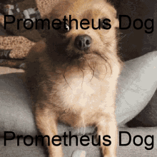 Prometheus GIF - Prometheus GIFs