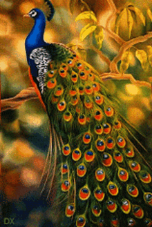Peacock Art GIF - Peacock Art Feathers GIFs