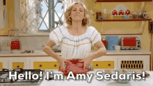 Amy Sedaris GIF - Amy Sedaris GIFs