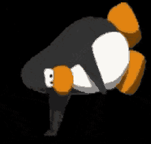 Pinguino GIF - Pinguino GIFs