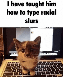 a kitten is sitting on top of a laptop keyboard and looking at the camera .