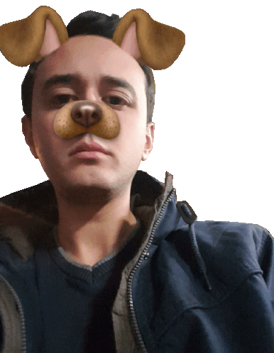 Leluss Selfie Sticker - Leluss Selfie Dog Filter Stickers