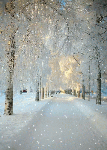 Love Winter GIF - Love Winter Snow GIFs