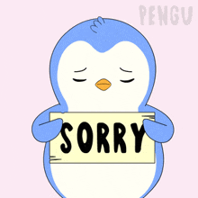 a penguin holds a sign that says sorry