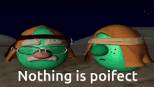 Nothing Is Poifect Nothing Is Perfect GIF - Nothing Is Poifect Nothing Is Perfect Nothing GIFs