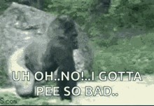 Nope Gorilla GIF - Nope Gorilla Funny Animals GIFs
