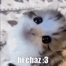 Chaz Chazzie GIF - Chaz Chazzie Jade GIFs