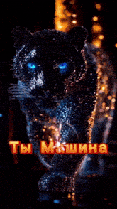 a black panther with blue eyes is surrounded by sparkles and says " ты " in red