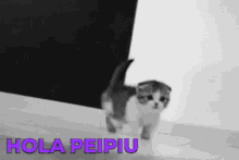 Hola Peipiu Hola GIF