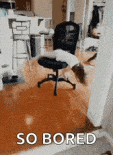 a dog is laying on top of an office chair with the words `` so bored '' written on it .