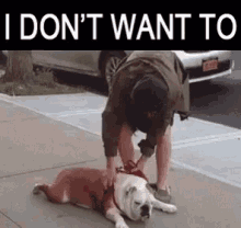 Homer Funny Animals GIF - Homer Funny Animals I Dont Want To GIFs