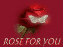 Rose For You Love GIF - Rose For You Love Butterfly GIFs