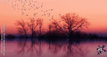 a picture of birds flying over a body of water with the website www.pinterest.com.ar on the bottom right