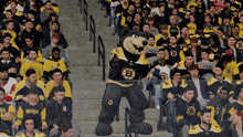 a mascot for the boston bruins stands in a crowd of fans