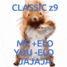 a picture of a squirrel with the words classic z9 me + elo you elo jajaja