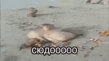 a monkey is riding a skateboard on a beach in a blurry photo with russian writing .