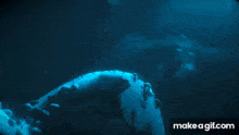 a whale is swimming in the ocean with a make a gif.com link below it