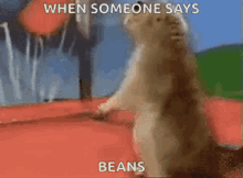 Beans Surprise GIF - Beans Surprise Omg GIFs