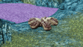 a computer generated image of a coral reef with a purple area in the middle
