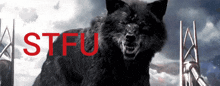 a black wolf with the word stfu written in red