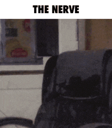 The Nerve Nerves GIF - The Nerve Nerves Joe Rogan GIFs