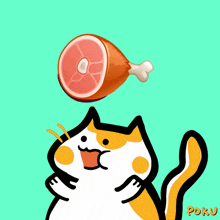 a cartoon cat is holding a piece of meat on its head and the word poku is below it
