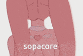 Sopacore Fox GIF - Sopacore Fox GIFs