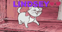 Lindsey Cat GIF - Lindsey Cat Walking GIFs
