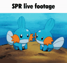 Spr Spa GIF - Spr Spa Guffy GIFs