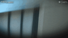 a blurred image of a wall with the words wildcards on the bottom