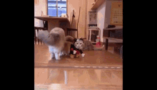 Cat Mouse Cat GIF - Cat Mouse Cat Mickey Mouse GIFs