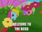 My Little Pony Welcome To The Herd GIF - My Little Pony Welcome To The Herd Herd GIFs