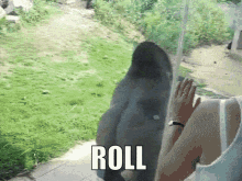 Roll Gorilla GIF - Roll Gorilla Monke GIFs
