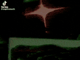 a person is holding a green object with a red star in the middle .