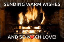 Fire Warm GIF - Fire Warm Stay Warm GIFs