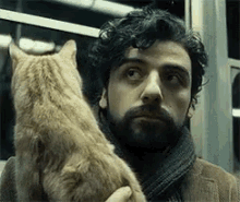 Oscar Isaac Cat GIF