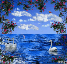 Nature Swan GIF - Nature Swan Butterfly GIFs