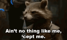 Ain'T No Thing Like Me, 'Cept Me.- Guardians Of The Galaxy GIF - Guardians Of The Galaxy Rocket Racoon Aint Nothing Like Me GIFs