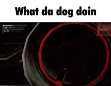 what da dog doin dog meme dozer dozer spin