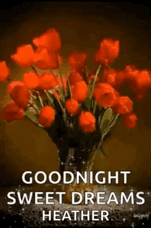good night sweet dreams roses sparkling
