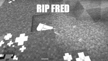 Turtlenation Fred GIF - Turtlenation Fred Rip GIFs