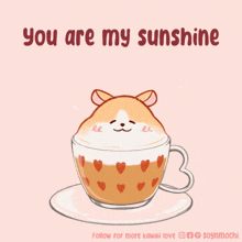 You-are-my-sunshine Morning-sunshine GIF