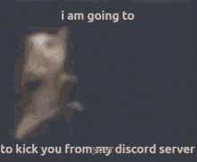 Meme Discord GIF - Meme Discord Kick GIFs