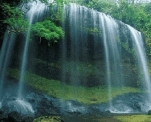 Waterfall Forest GIF - Waterfall Water Forest GIFs