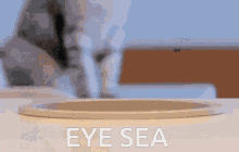 I See Eye Sea GIF - I See Eye Sea GIFs