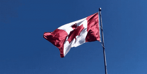 Canada Canadian Flag GIF - Canada Canadian Flag Waving Flag - Discover &  Share GIFs